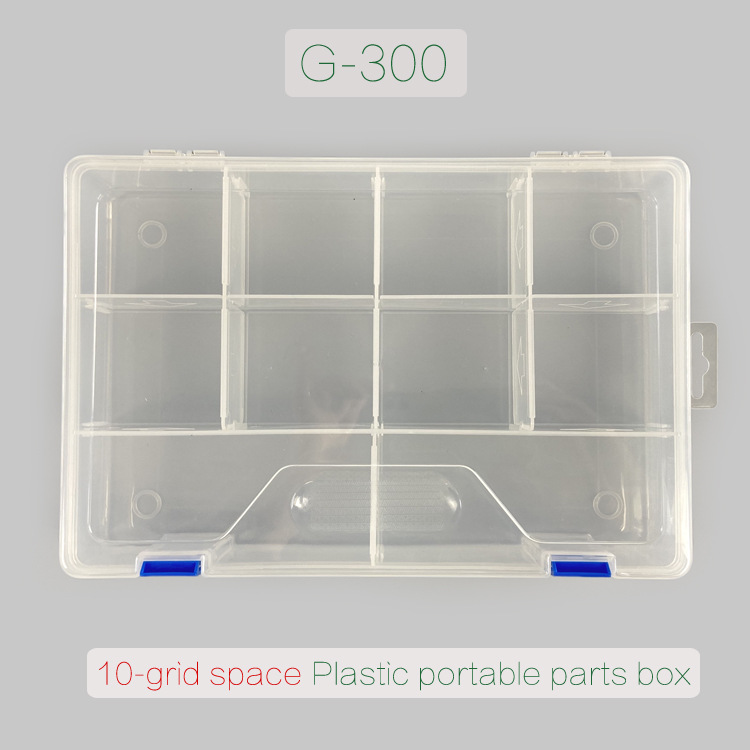 RCG300